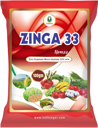 ZINGA 33